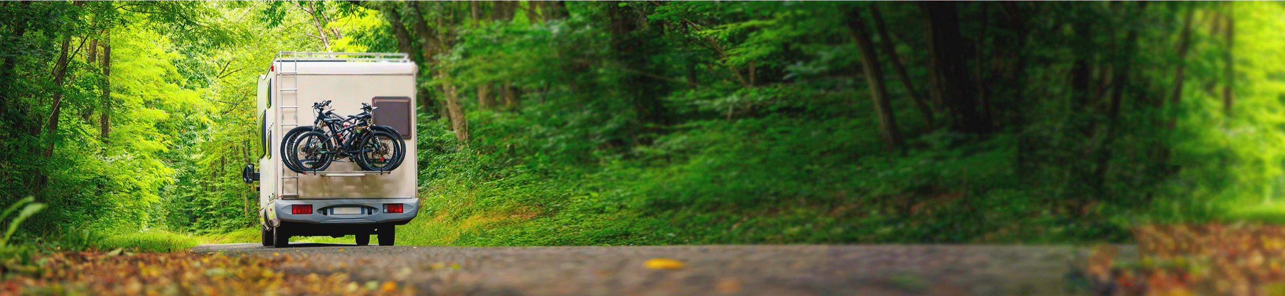 Banner 3